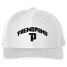 Snapback Trucker Cap